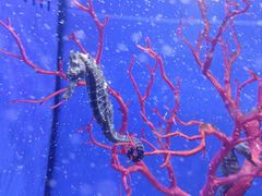 -多彩贵州城极地海洋世界