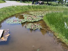 -宁波杭州湾国家湿地公园