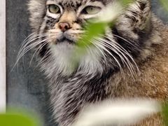 -青藏高原野生动物园