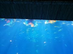 -华夏文旅西安度假区
