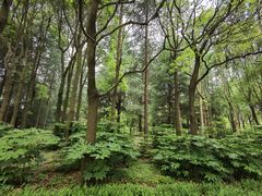 -浦东市民中心-停车场