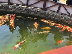 -香麒园·过桥米线·南湖雅宴