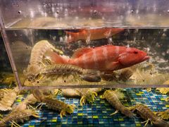 -新荣记(椒江店)