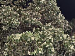 -姐夫家·沈阳黏糊麻辣拌·拌鸡架·冷面(南头古城店)