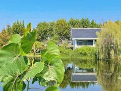 -金银湖国家城市湿地公园