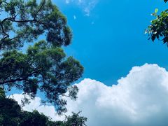 -海口火山口国家地质公园
