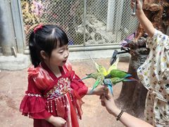 -正佳雨林生态植物园