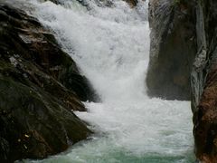 -广州白江湖森林公园