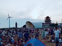-奉贤海滩