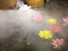 -龙门烤鱼(东方宝泰店)