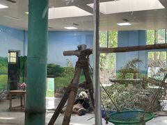 -临沂动植物园