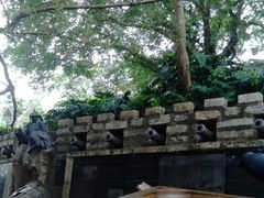 -胡里山炮台