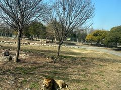 -上海野生动物园