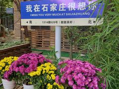 -绿地·中山里