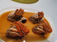 -蝶园·装修中(BFC外滩金融中心店)