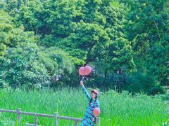 -成都市活水公园