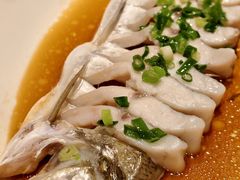 -金美华轩(东方路齐鲁店)