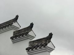 -后柳水乡