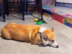 -771餐吧·咖啡·西餐·烤肉(金湖广场店)