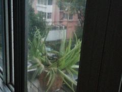 -海江5号
