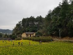 -韶山毛泽东同志故居