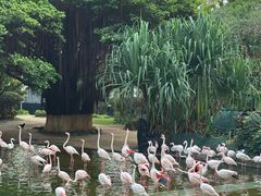 -九龙公园