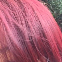 点击看大图 -HD HAIR STYLE