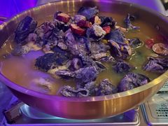 -Darling Queen·Mini·Live·House