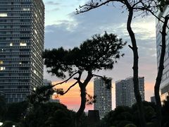 -木塔寺遗址生态公园