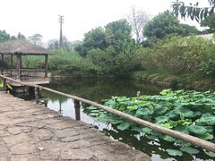 -驿舍·民國老营房院子私房菜(科学会堂店)