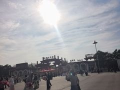 -曹州牡丹园
