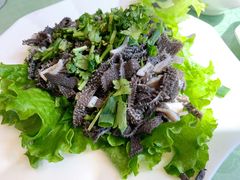-国庆烧麦馆