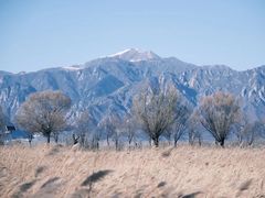 -野鸭湖国家湿地公园