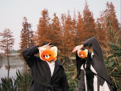 -白鹭湾湿地公园