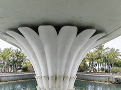 -海花岛旅游度假区