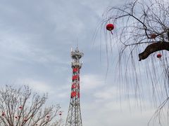 -羊亭河湿地公园