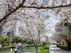 -北外滩滨江绿地