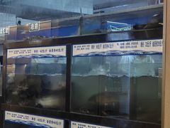 -舒来喜鱼锅(伊河路店)