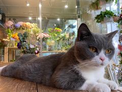 -花十悦·鲜花咖啡餐厅(振业城一期店)