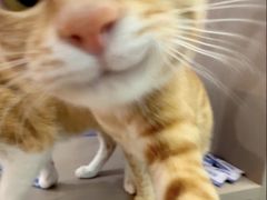 -区海鸡场饭店(石壁店)