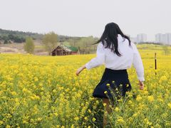 -西海岸生态观光园