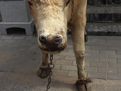 -白鹿原影视城