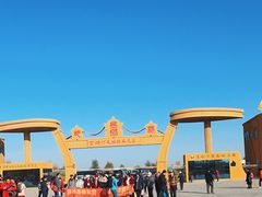-金塔沙漠胡杨林景区