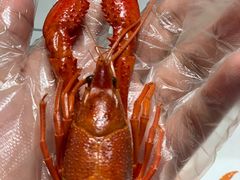 -霸王虾·麻辣小龙虾(清水河公园店)