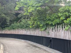 -广州都喜泰丽温泉度假酒店