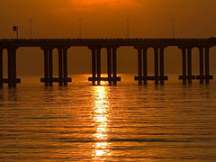-宝安西湾红树林湿地公园