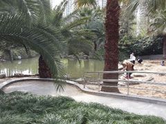 android_upload_pic-苏州河梦清园环保主题公园