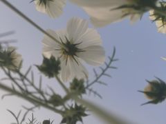 -二沙岛艺术公园