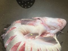 -鲜潭蒸汽石锅鱼(万象前海店)