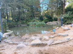 -苏州河梦清园环保主题公园